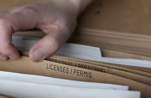 Licensing / Petitions / Permits