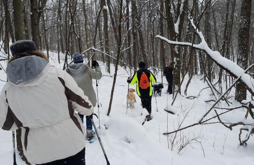 Snowshoe & Pole Rentals