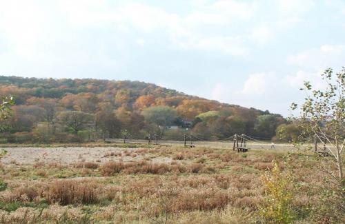 Petite Roche Prairie/Mill Pond