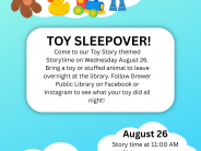 Toy Sleepover