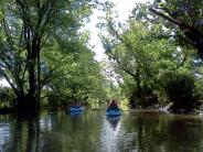 Kayakers on Pine River