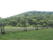 Pine River Trail