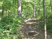 Miner Hill Trails Park/Tower Hill trail