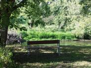 Bench by the river
