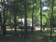 Camper in trees