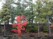 Pier County Park - Rockbridge