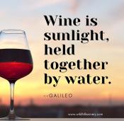 "Wine is sunlight, held together by water" - Galileo