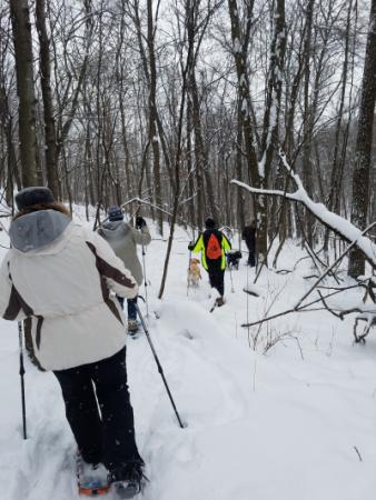 Snowshoe & Pole Rentals