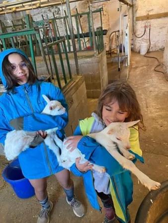 Two children holding small goats