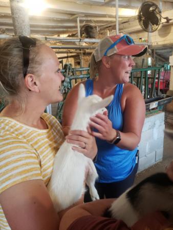Women petting and holding kid goats.