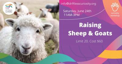 Sheep and goat image