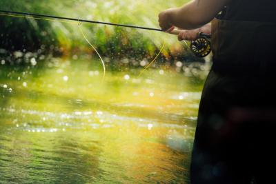 Fly fishing reel and rod