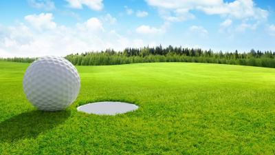 Golf outing image