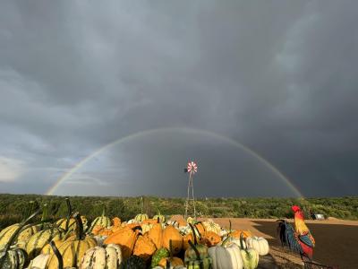 Chicken Ridge Farm rainbow