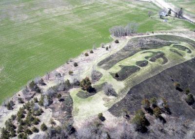 image at Frank's Hill