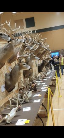 Driftless Deer Classic image