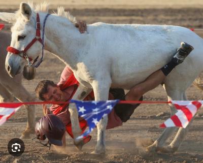 Donkey and rider playing baseball