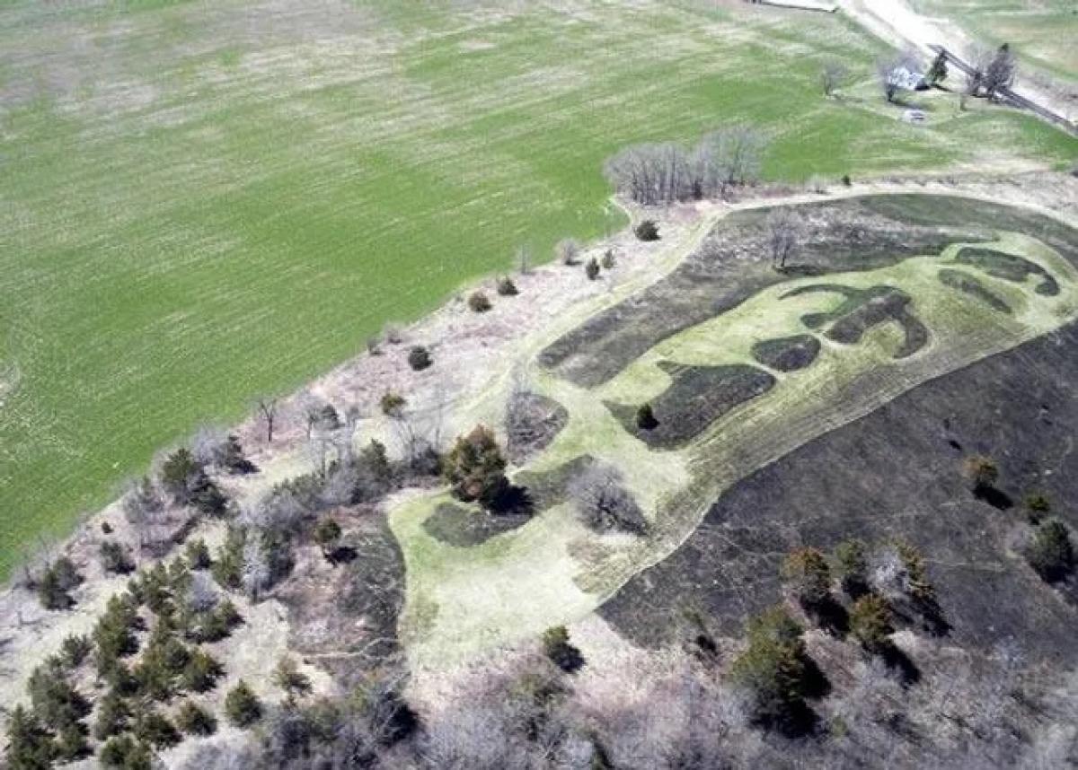 Preserved Effigy Mounds