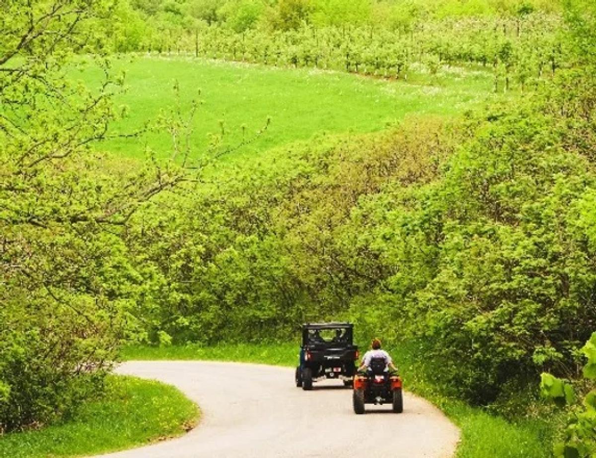 ATV's on dirt road