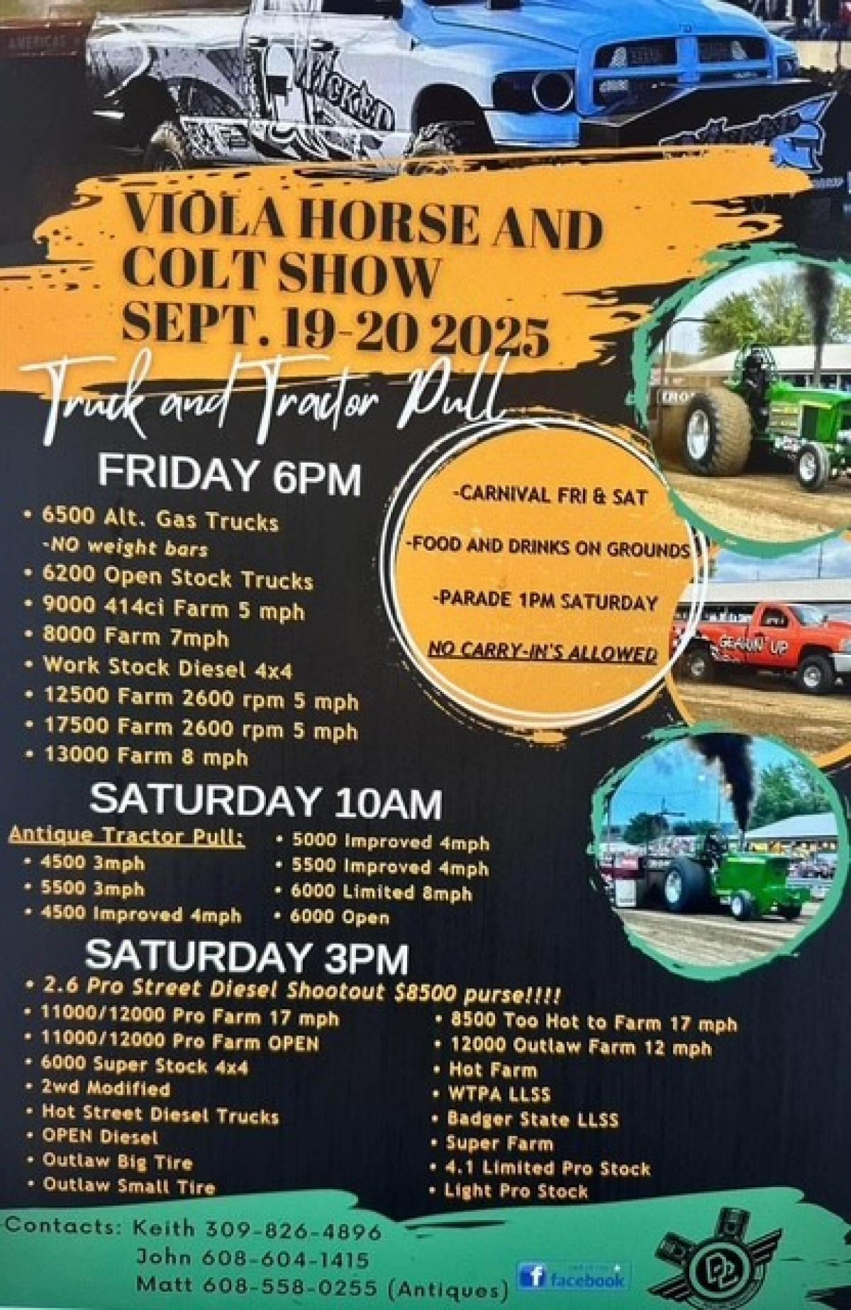 Viola Horse and Colt Show basic poster